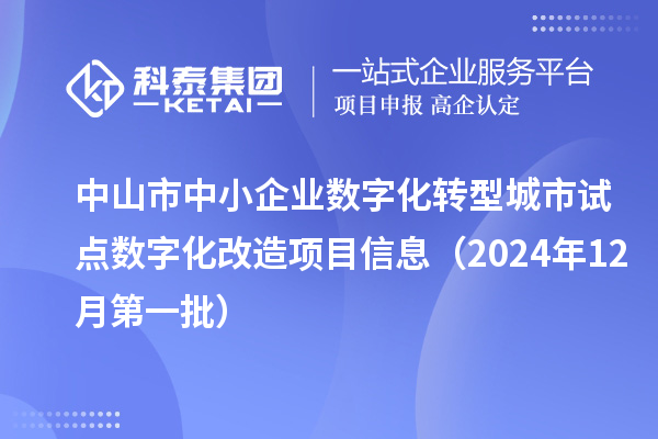 中山市中小企業(yè)數(shù)字化轉型城市試點數(shù)字化改造項目信息（2024年12月第一批）