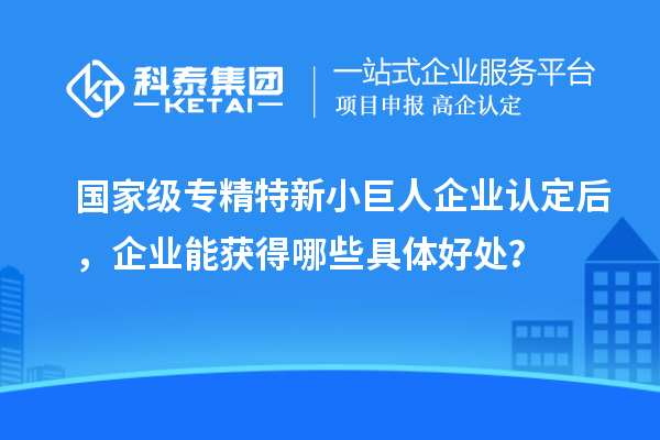 國(guó)家級(jí)專精特新小巨人企業(yè)認(rèn)定后，企業(yè)能獲得哪些具體好處？