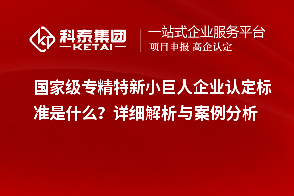 國(guó)家級(jí)專精特新小巨人企業(yè)認(rèn)定標(biāo)準(zhǔn)是什么？詳細(xì)解析與案例分析