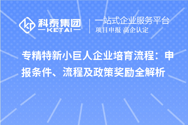 專精特新小巨人企業(yè)培育流程：申報條件、流程及政策獎勵全解析