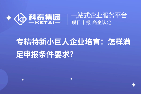 專(zhuān)精特新小巨人企業(yè)培育：怎樣滿足申報(bào)條件要求？