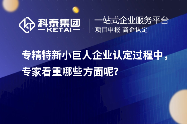 專精特新小巨人企業(yè)認定過程中，專家看重哪些方面呢？