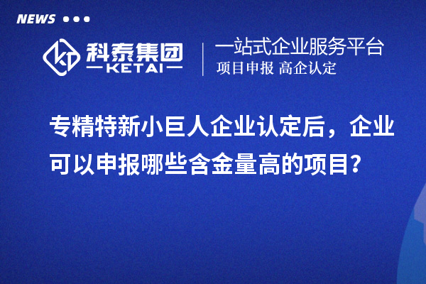 專精特新小巨人企業(yè)認(rèn)定后，企業(yè)可以申報(bào)哪些含金量高的項(xiàng)目？