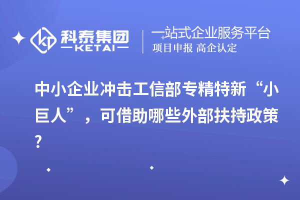 中小企業(yè)沖擊工信部專精特新 “小巨人”，可借助哪些外部扶持政策?