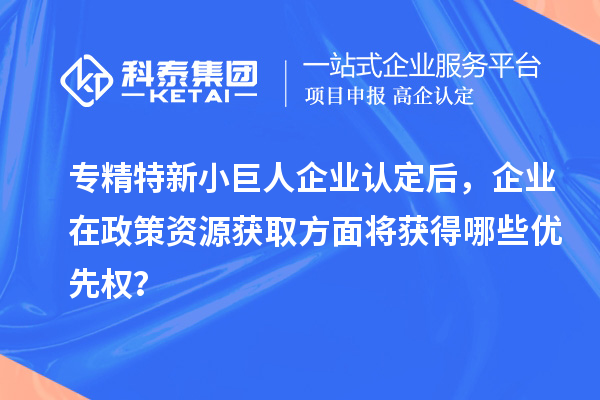 專精特新小巨人企業(yè)認(rèn)定后，企業(yè)在政策資源獲取方面將獲得哪些優(yōu)先權(quán)？