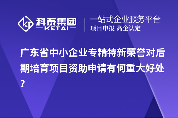 廣東省中小企業(yè)專(zhuān)精特新榮譽(yù)對(duì)后期培育項(xiàng)目資助申請(qǐng)有何重大好處？