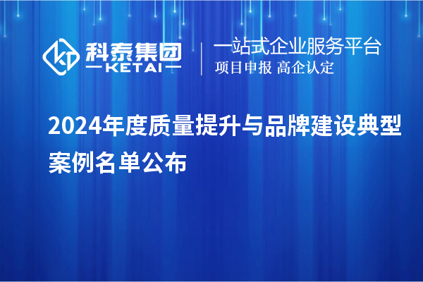 2024年度質(zhì)量提升與品牌建設(shè)典型案例名單公布